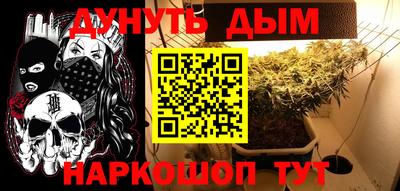 ГАЛЛЮЦИНОГЕННЫЕ ГРИБЫ Заволжье